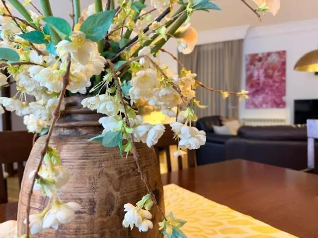 Domus Altiora Centro Appartamento